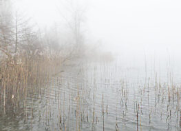 002 - die ganze schweiz mit blauem himmel